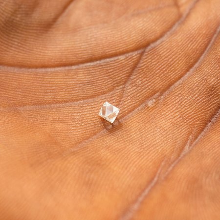 Diamond in Palm