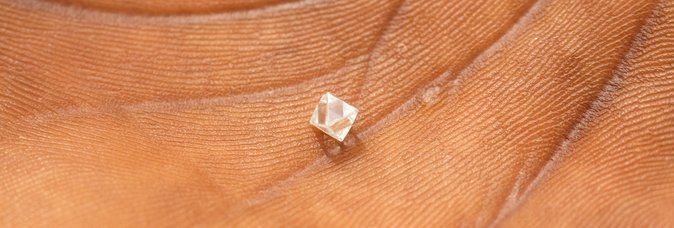 Diamond in Palm